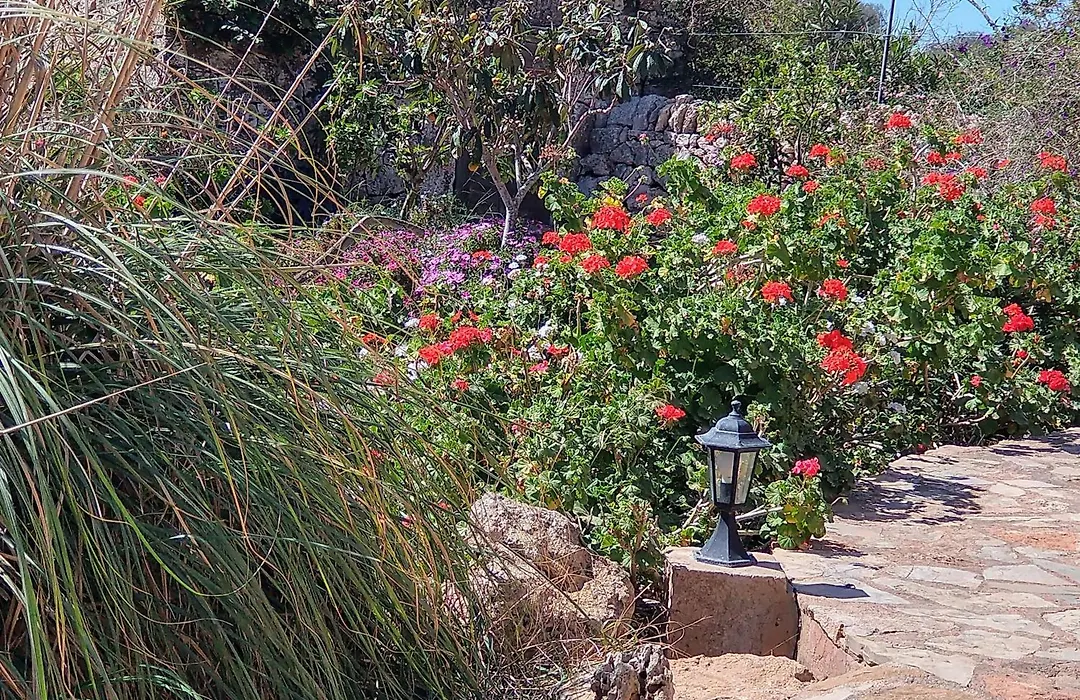 Finca Son Marimon - Adults Only-1