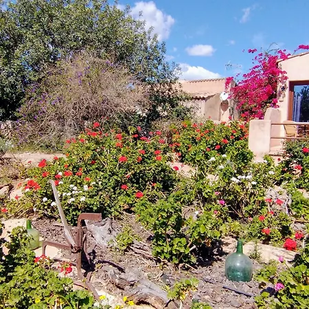Finca Son Marimon - Adults Only-3